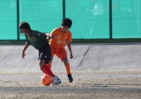 IMG_8302_R_R