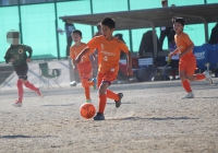 IMG_8392_R_R