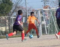 IMG_8669_R_R