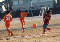 IMG_8689_R_R