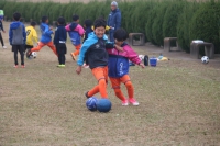 IMG_3006_R_R
