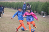 IMG_3010_R_R