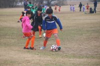 IMG_3012_R_R