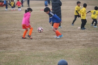 IMG_3033_R_R