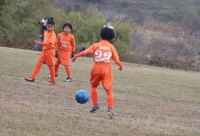 IMG_3263_R_R