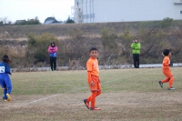 IMG_3340_R_R