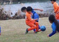 IMG_3600_R_R