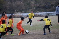 IMG_3915_R_R