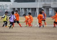 IMG_9243_R_R