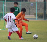IMG_0102_R_R
