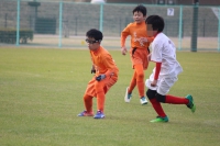 IMG_0103_R_R