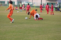 IMG_0115_R_R