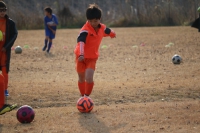 IMG_6038_R_R