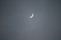 IMG_7085_R_R
