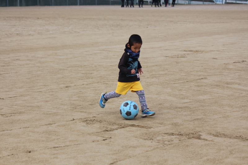 IMG_0954_R_R