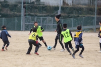 IMG_0206_R_R