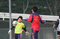 IMG_0748_R_R