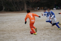 IMG_9300_R_R