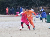IMG_9482_R_R