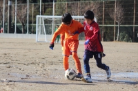 IMG_1201_R_R