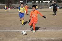 IMG_1178_R_R