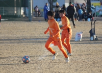 IMG_2006_R_R