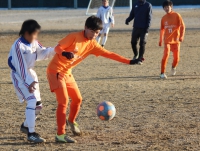 IMG_2010_R_R