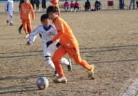 IMG_2011_R_R