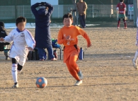 IMG_2071_R_R