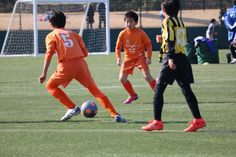 IMG_2239_R_R