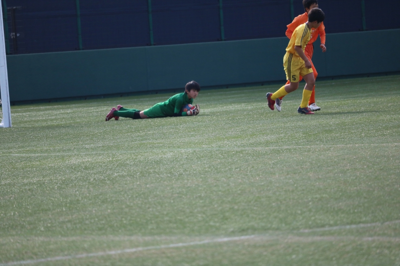 IMG_2517_R_R