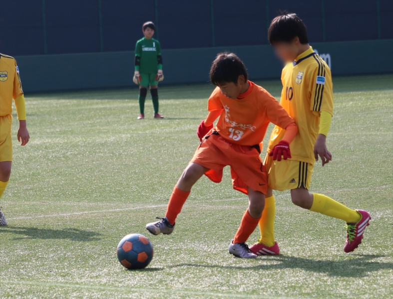 IMG_2544_R_R