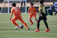 IMG_2239_R_R