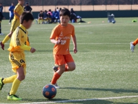 IMG_2369_R_R