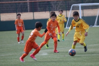 IMG_2522_R_R