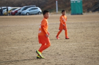 IMG_2993_R_R_R