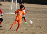 IMG_3440_R_R_R