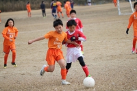 IMG_3633_R_R_R