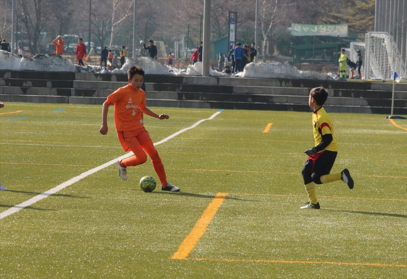 IMG_0066_R_R
