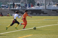IMG_0074_R_R