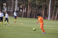 IMG_0105_R_R