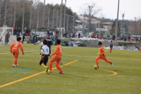 IMG_0134_R_R