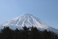 IMG_0507_R_R