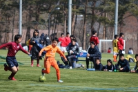 IMG_0665_R_R