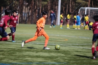 IMG_0714_R_R