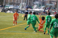 IMG_9718_R_R