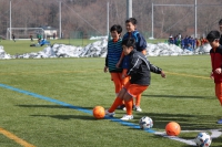IMG_9986_R_R