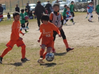 IMG_6882_R_R