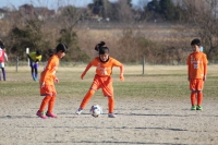 IMG_7342_R_R