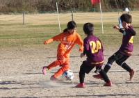 IMG_7363_R_R